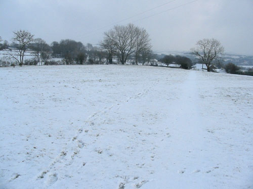 Huddlestone Cottage and The Hayloft gardens in snow February 2009