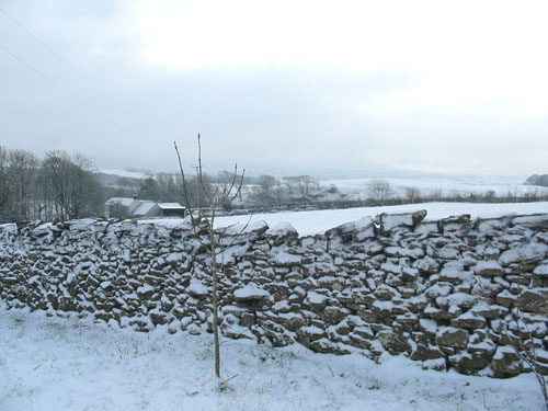 Huddlestone Cottage and The Hayloft gardens in snow February 2009