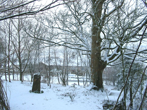 Huddlestone Cottage and The Hayloft gardens in snow February 2009