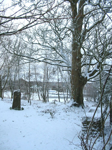 Huddlestone Cottage and The Hayloft gardens in snow February 2009