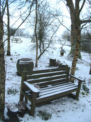 Huddlestone Cottage and The Hayloft gardens in snow February 2009