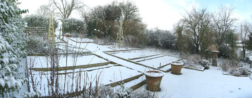 Vegetable garden in Snow February 2009
