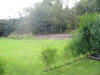 View from organic vegetable garden towards copse