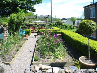 Close-up view of herb garden