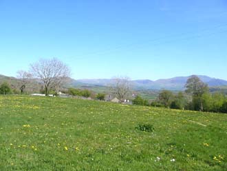 2 acres to enjoy