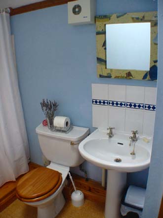 Wash hand basin and toilet