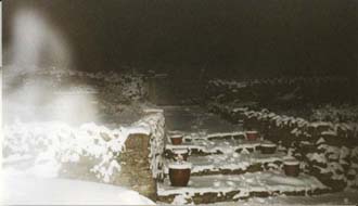 View of steps leading to the Field