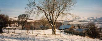 View East from Garden