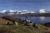 Derwentwater from Manesty