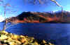 The wooded shores of Ullswater near Glenridding