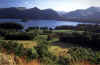 Derwentwater from Castle Head