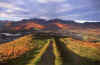 Derwent Fells from Latrigg